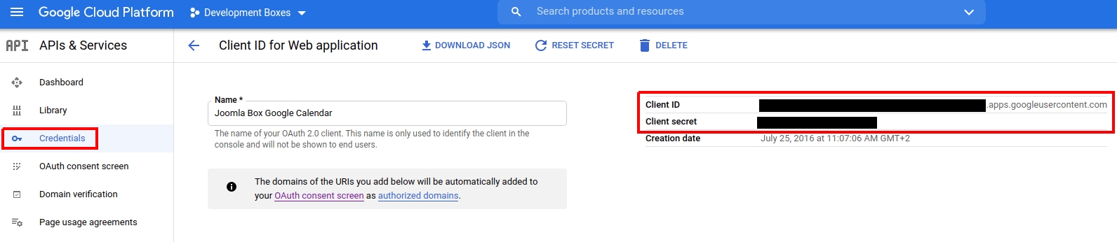 Google API client settings