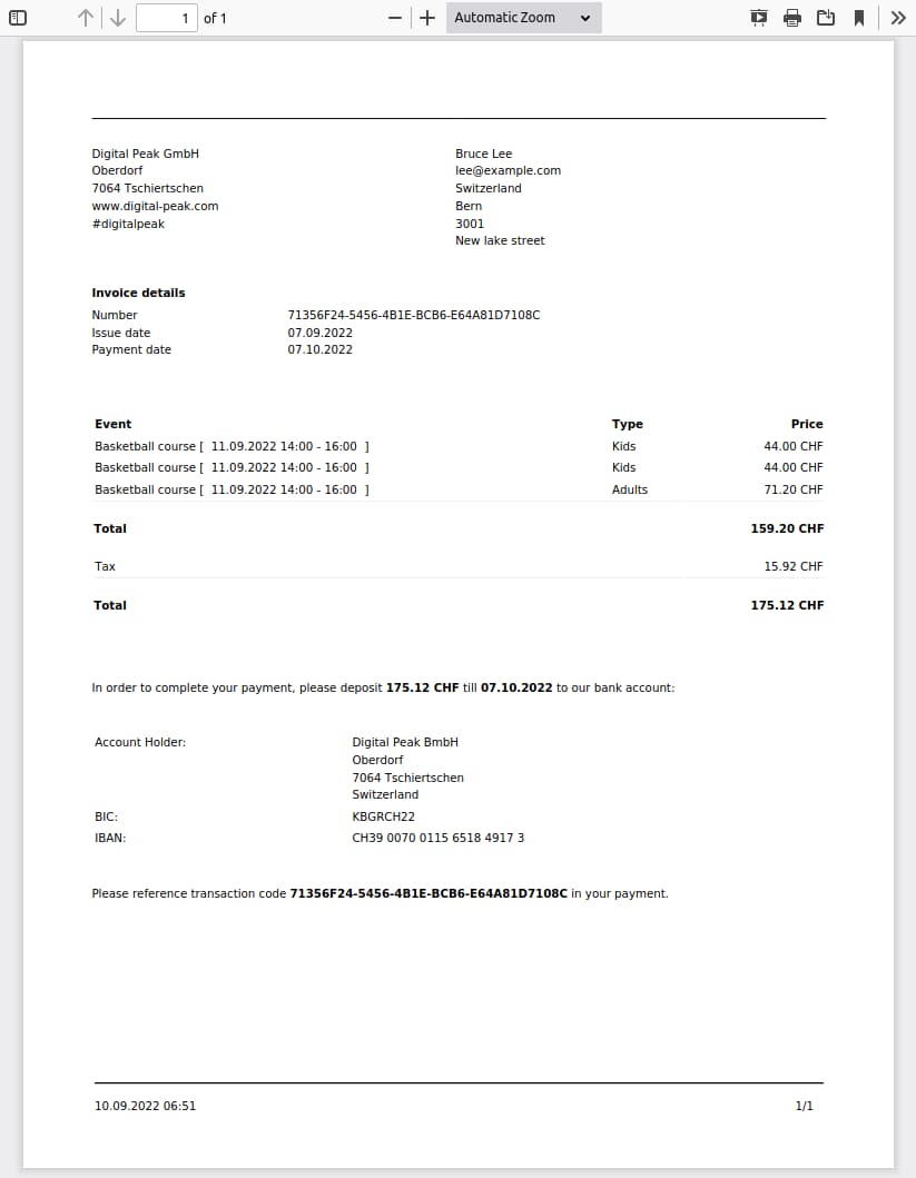 Manual payment invoice